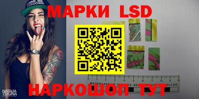 apvp Кудрово